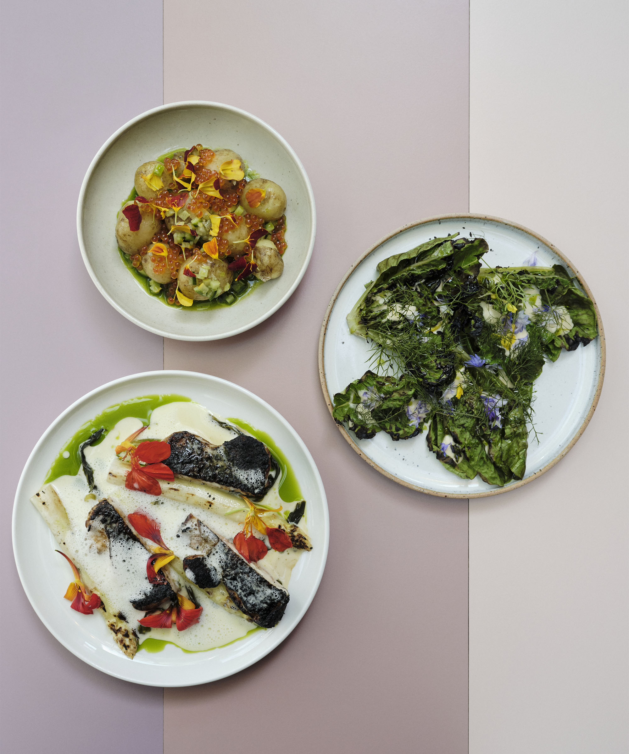 7-course menu at Holly in Vesterbro – Renowned restaurateurs with decades of experience have created a place where young up-and-coming chefs really shine