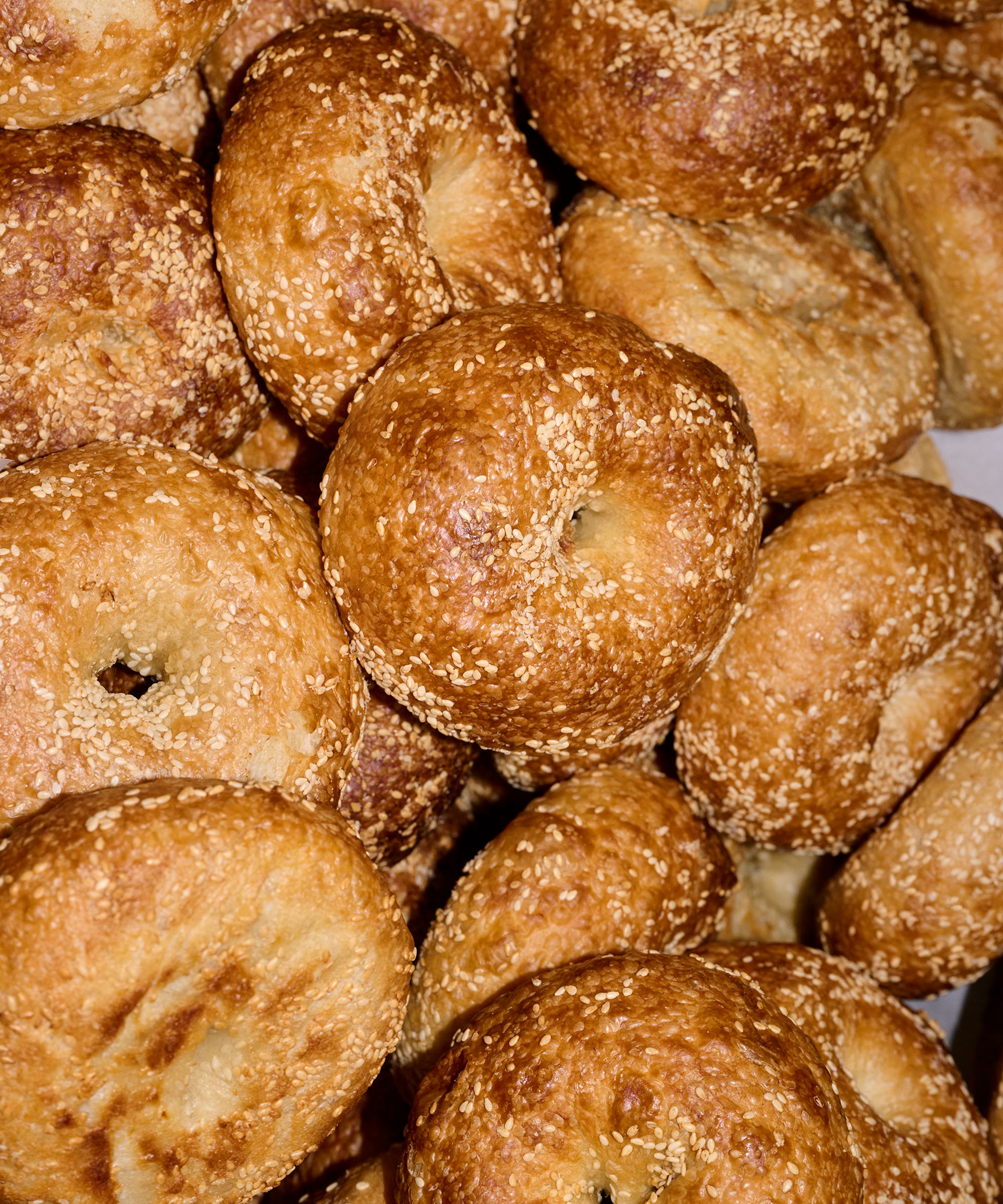 Pick whatever you like at Apollo Bagels