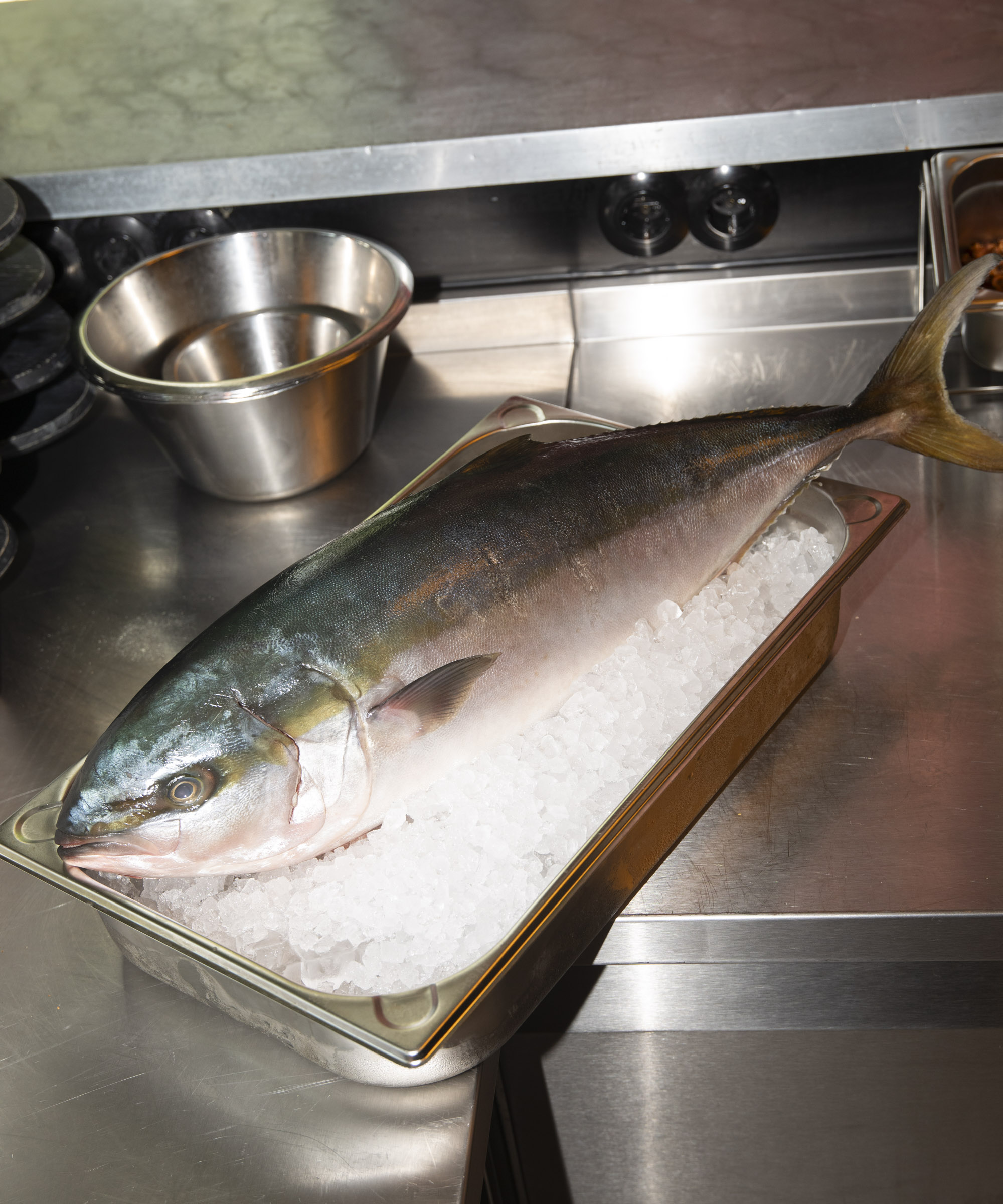 7-course menu at Tiger Lily in Papirøen – Balancing East Asian expressions with fine dining flair, a former Michelin chef leads the charge in this colorful canalside restaurant