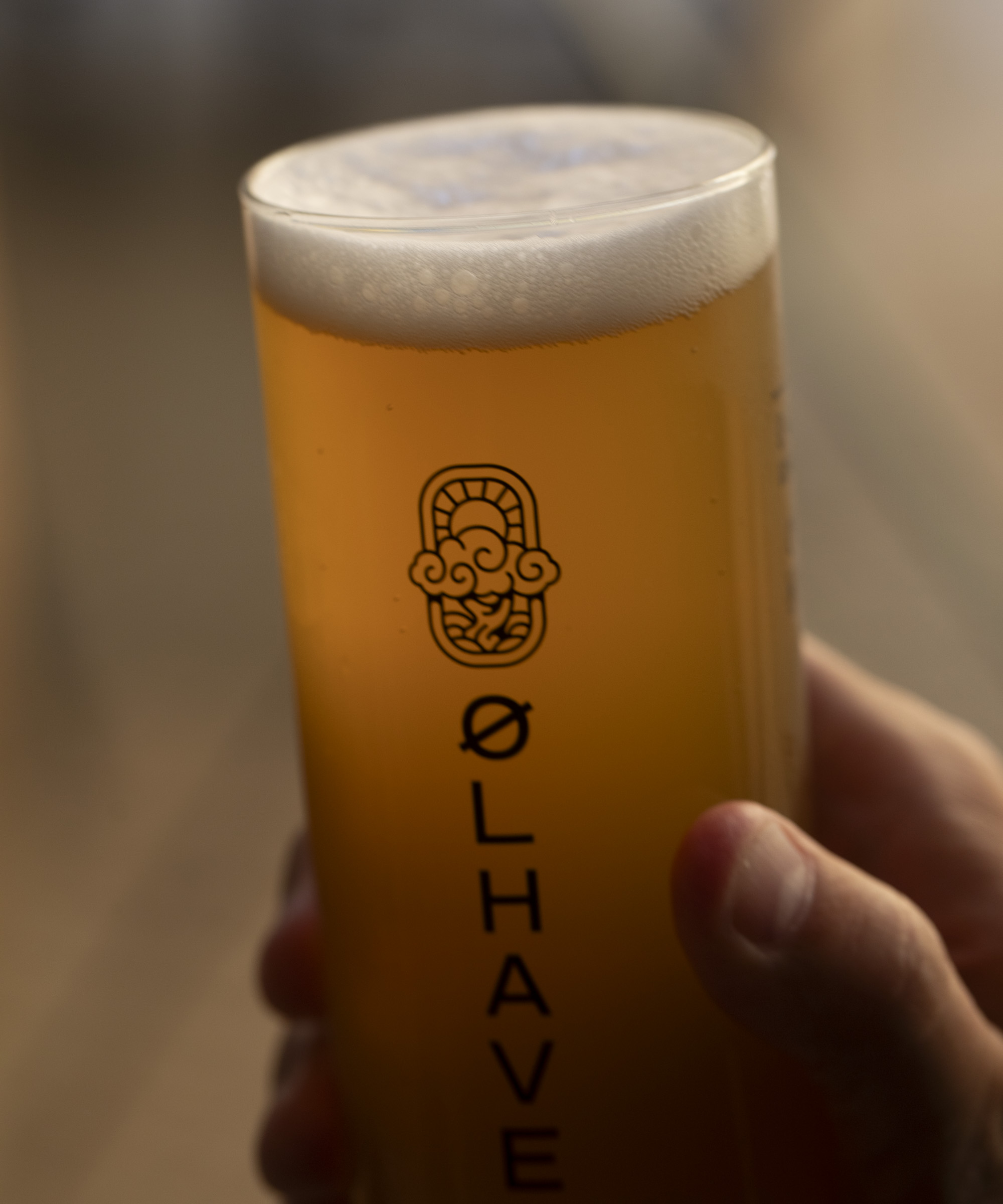 Pick any two draft beers at Ølhaven – Hidden just a stone’s throw from Kongens Nytorv is a Japandi oasis with Denmark’s best microbrews on tap