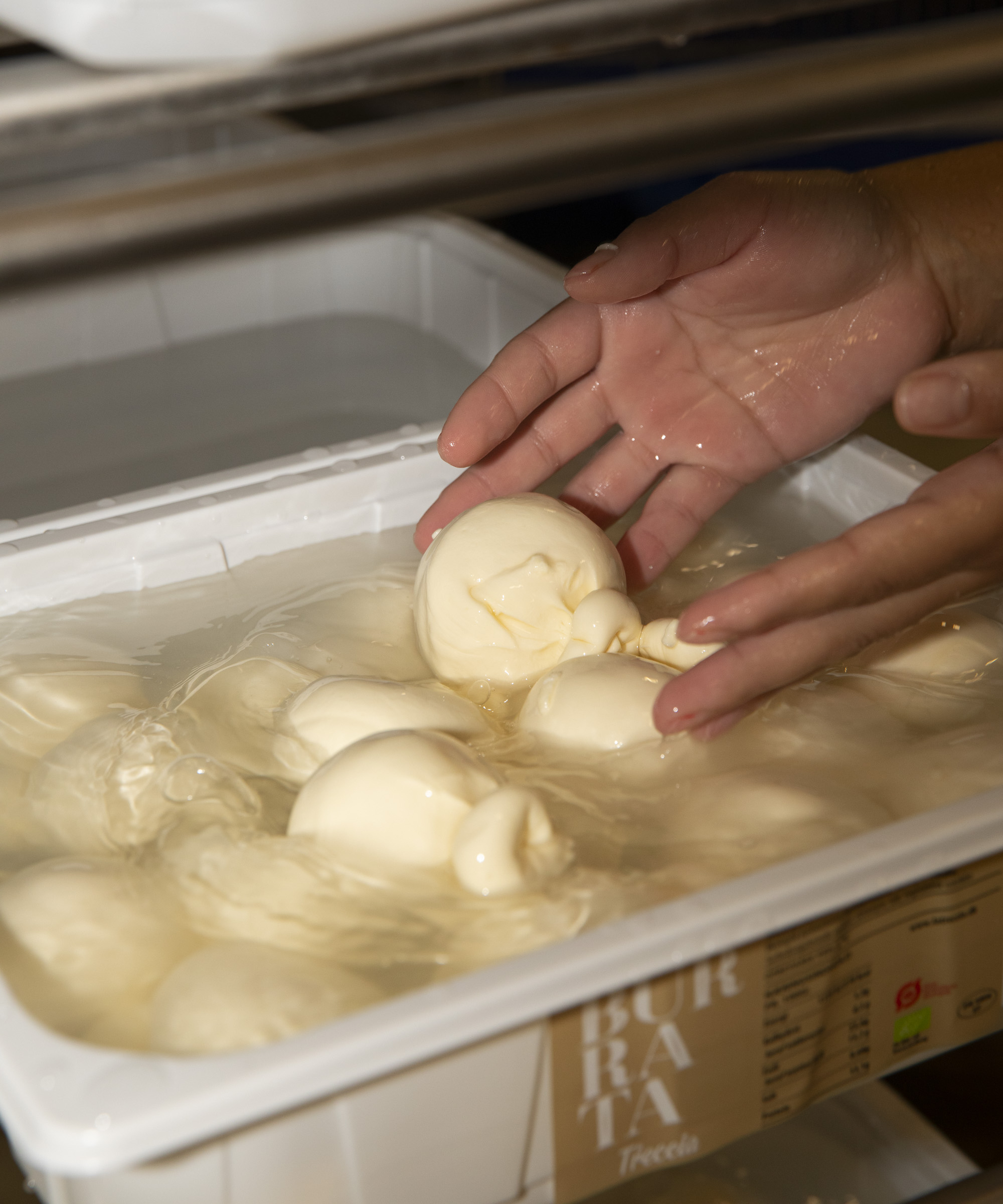 Pick whatever you like at La Treccia in Ishøj – Visit the family-run cheese factory supplying burrata, mozzarella, ricotta, and mascarpone to the city’s top restaurants