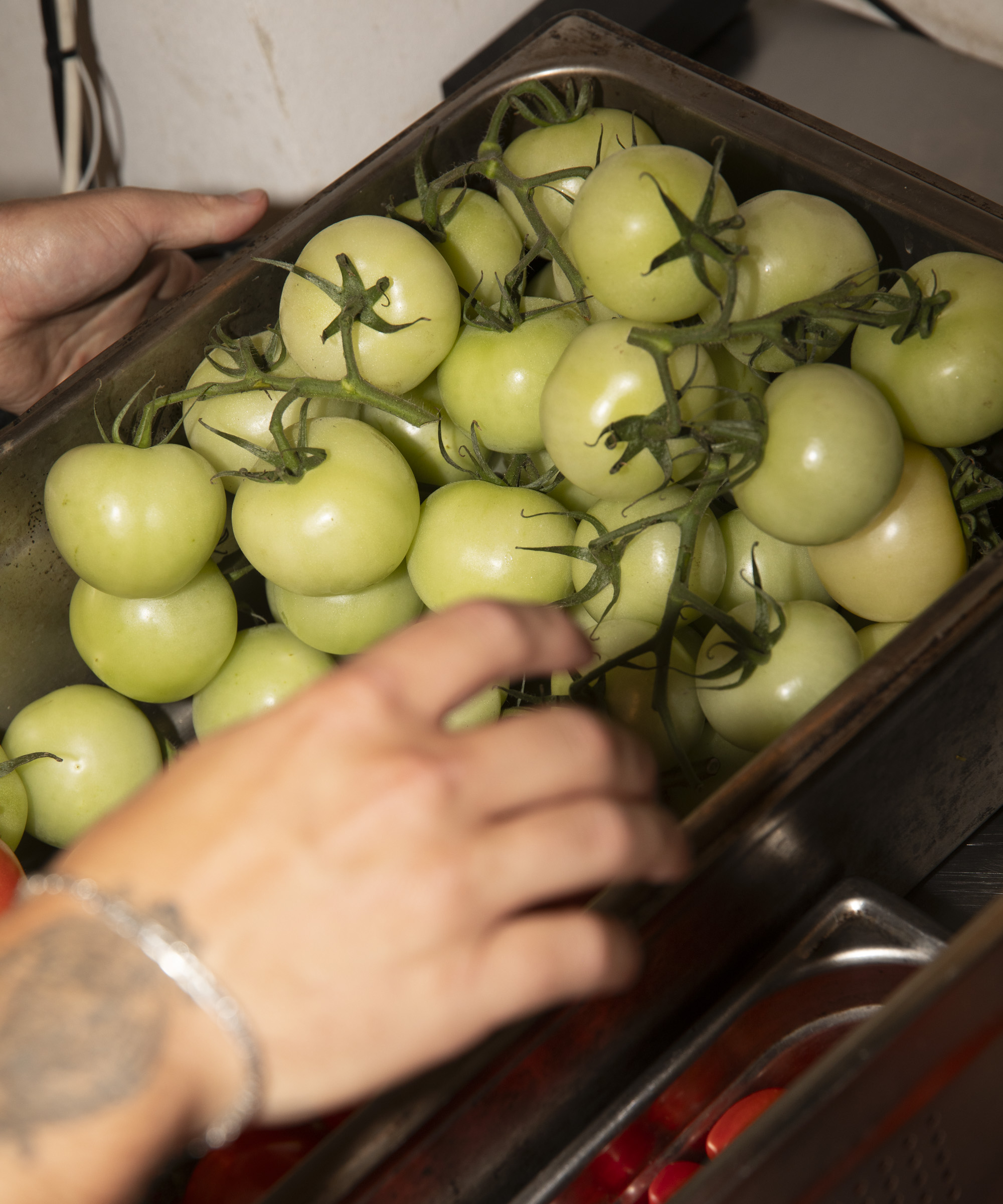 5-course menu at FAR – The future of plant-driven cuisine is found in this intimate, 22-seat vegetarian restaurant in Vesterbro