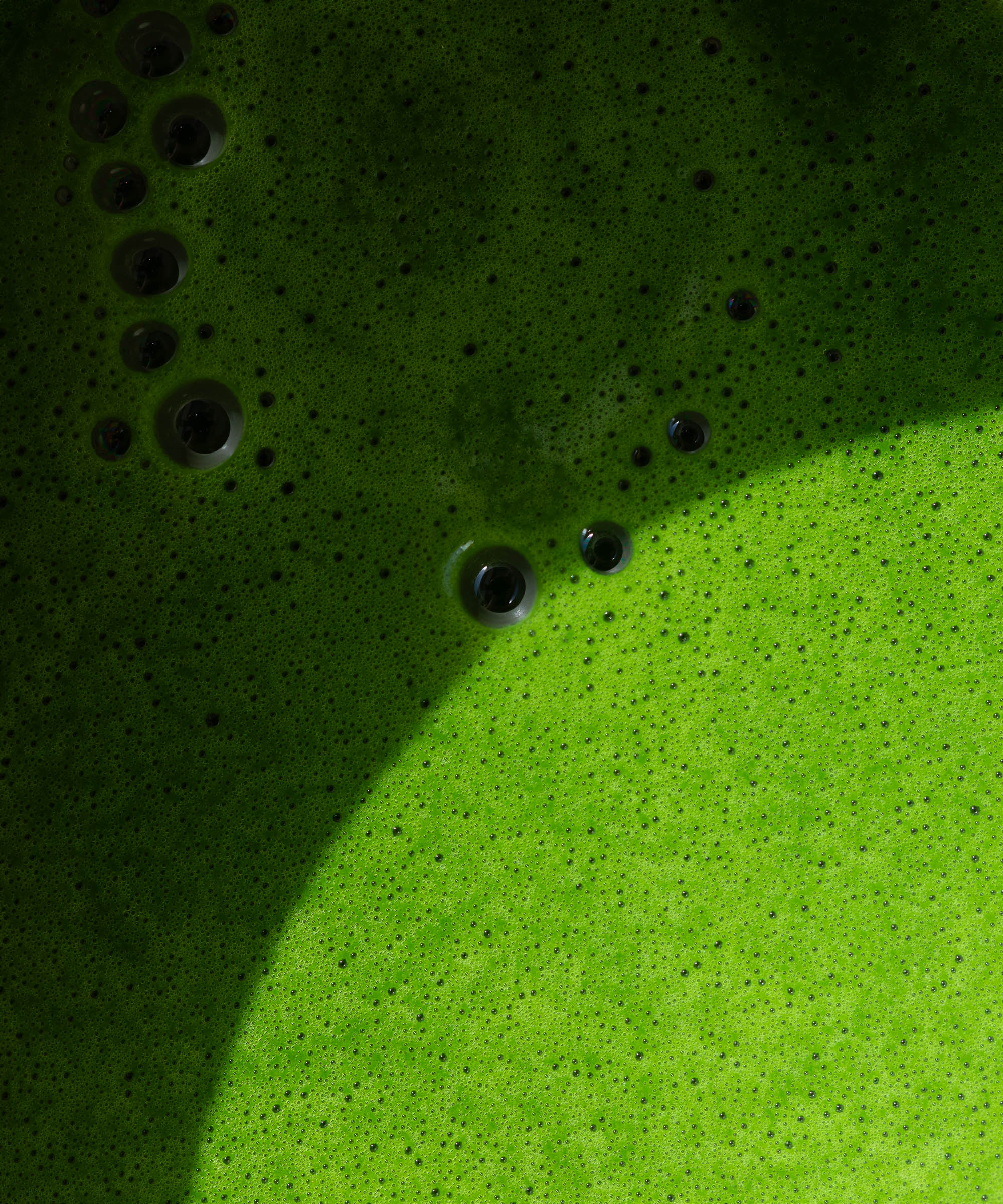 100g of matcha from Mizu Matcha shipped to your door — Organic, ceremonial grade, and single-origin matcha sourced directly from Japan
