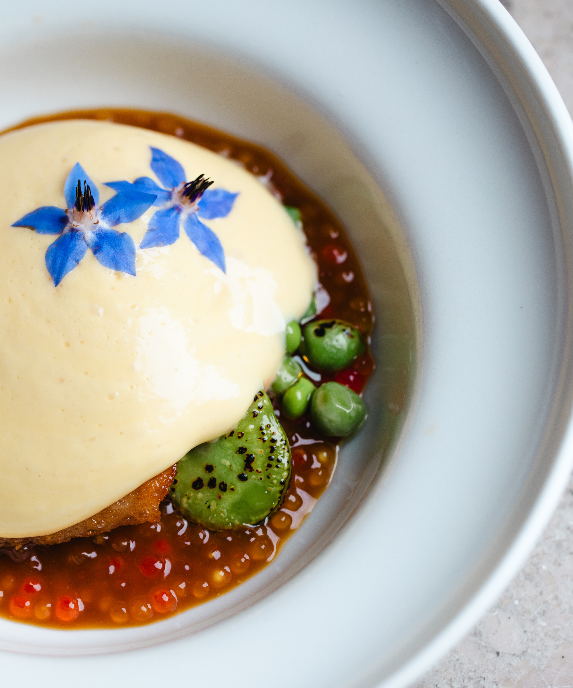 6-course menu at Petra in City Center — Recently awarded a Michelin Bib Gourmand, an acclaimed team cooks the season in one of Copenhagen’s most striking dining rooms